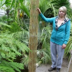 Bamboe Harmonica Trellis 90 X 180 Cm 6 Bamboe Harmonica Trellis 90 X 180 Cm -Aanbiedingen Boom Licht Winkel 1434014322