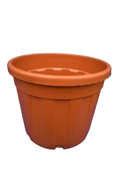 Grote Palmpot - Ø 49 Cm / 55 Ltr. 1 Grote Palmpot - Ø 49 Cm / 55 Ltr.