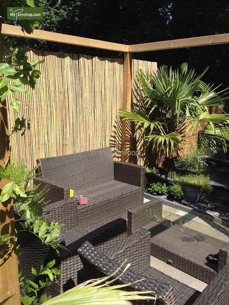 Bamboe Rolscherm Naturel 35 X 200 Cm 2 Bamboe Rolscherm Naturel 35 X 200 Cm - Afbeelding 2