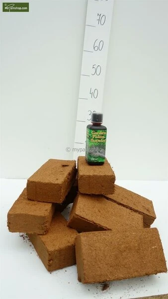 Palmbooster 300 Ml + 10 Coir Bricks 2 Palmbooster 300 Ml + 10 Coir Bricks - Afbeelding 2