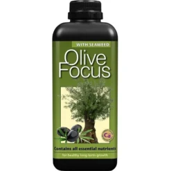 Olive Focus - 1000 Ml