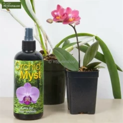 Orchid Myst 750ml 5 Orchid Myst 750ml -Aanbiedingen Boom Licht Winkel 1911145233
