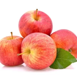 Malus Domestica Gala - Totale Hoogte 120-160 Cm - Pot Ø 26 Cm