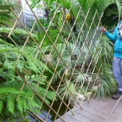 Bamboe Harmonica Trellis 180 X 180 Cm [pallet]