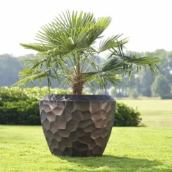 Cascara - Brons - D111H91 Cm [pallet] -Aanbiedingen Boom Licht Winkel 1936763097