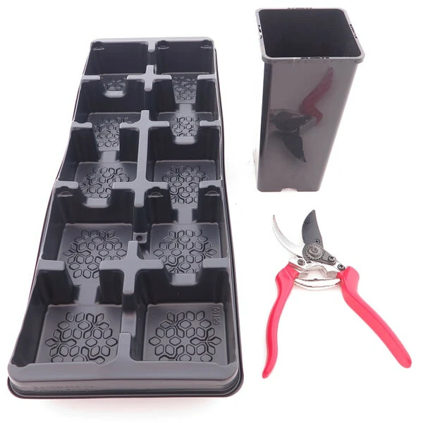 Diepe Vierkante Palmpot Rose Tray + 10 Potten - 2 Ltr. 1 Diepe Vierkante Palmpot Rose Tray + 10 Potten - 2 Ltr.