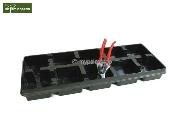 Diepe Vierkante Palmpot Rose Tray + 10 Potten - 2 Ltr. 2 Diepe Vierkante Palmpot Rose Tray + 10 Potten - 2 Ltr. - Afbeelding 2