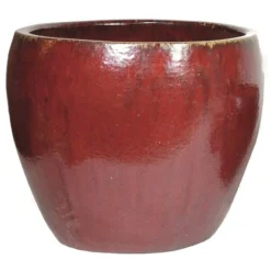 Glorious Belly - Oxblood - D60H50 Cm [pallet]