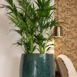 Thom Hoog - Ocean - D62H88 Cm [pallet] -Aanbiedingen Boom Licht Winkel 1956173538