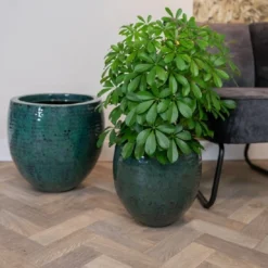 Thom - Ocean - D72H56 Cm [pallet] -Aanbiedingen Boom Licht Winkel 1956198735