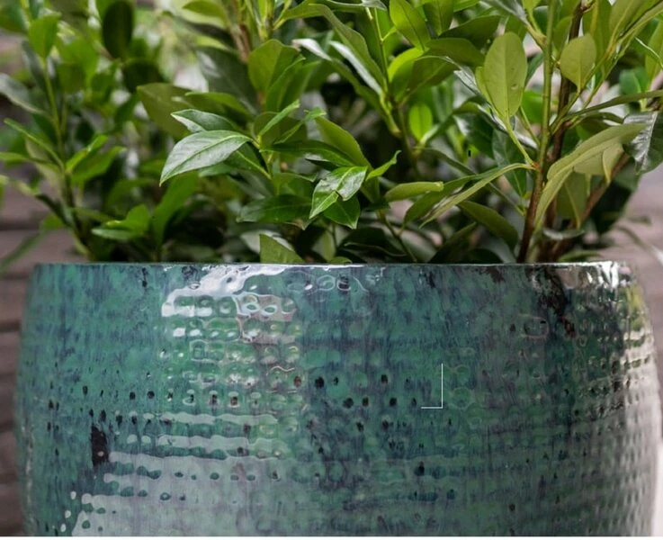 Thom - Ocean - D40H37 Cm 3 Thom - Ocean - D40H37 Cm - Afbeelding 3