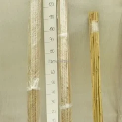 Bamboestokken 25 X - 152 Cm X Ø 15-17 Mm