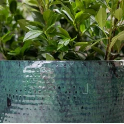 Thom - Ocean - D54H44 Cm 8 Thom - Ocean - D54H44 Cm -Aanbiedingen Boom Licht Winkel 1978103031