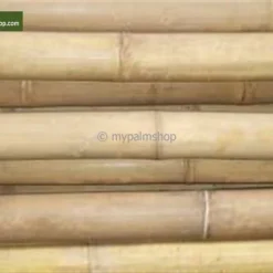 Bamboestokken 10 X - 180 Cm X Ø 18-20 Mm [pallet] -Aanbiedingen Boom Licht Winkel 1980176745