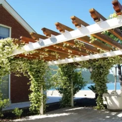 Trachelospermum Jasminoides - Pot 3 Ltr 6 Trachelospermum Jasminoides - Pot 3 Ltr -Aanbiedingen Boom Licht Winkel 1991606004