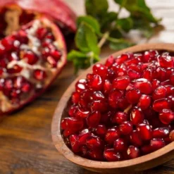 Punica Granatum Dente Di Cavallo - Pot 2 Ltr 6 Punica Granatum Dente Di Cavallo - Pot 2 Ltr -Aanbiedingen Boom Licht Winkel 1991666157