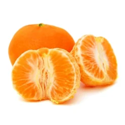 Citrus Reticulata - Totale Hoogte 140-160 Cm - Pot Ø 26 Cm 5 Citrus Reticulata - Totale Hoogte 140-160 Cm - Pot Ø 26 Cm -Aanbiedingen Boom Licht Winkel 1991670474