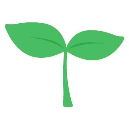 Aanbiedingen Boom Licht Winkel